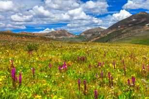 Independence Pass-0430